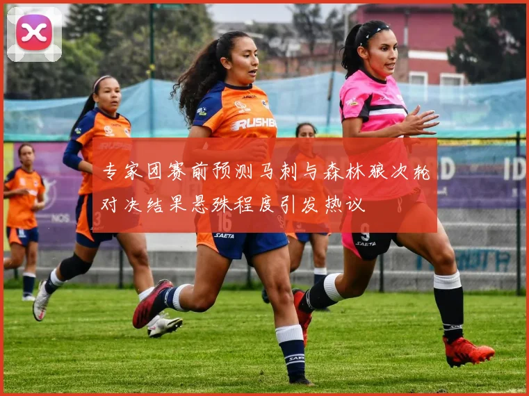 专家团赛前预测马刺与森林狼次轮对决结果悬殊程度引发热议