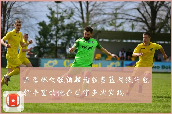 王哲林向张镇麟请教剪篮网技巧经验丰富的他在辽宁多次实践